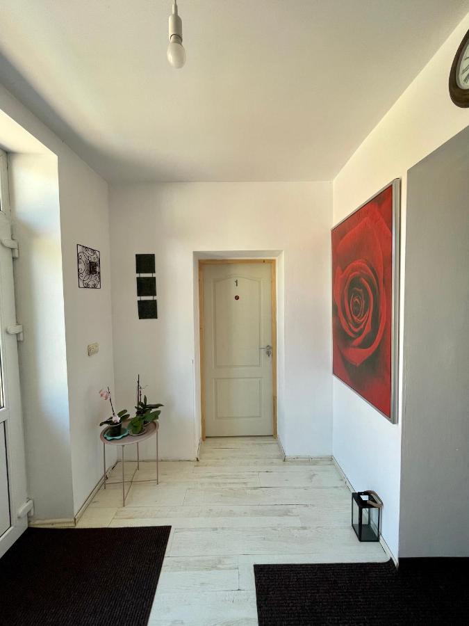 فندق Casa Trandafirilor تولتشيا المظهر الخارجي الصورة